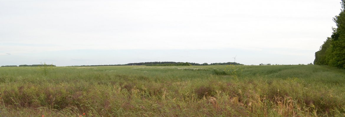 Energiepark Weesow-Willmersdorf